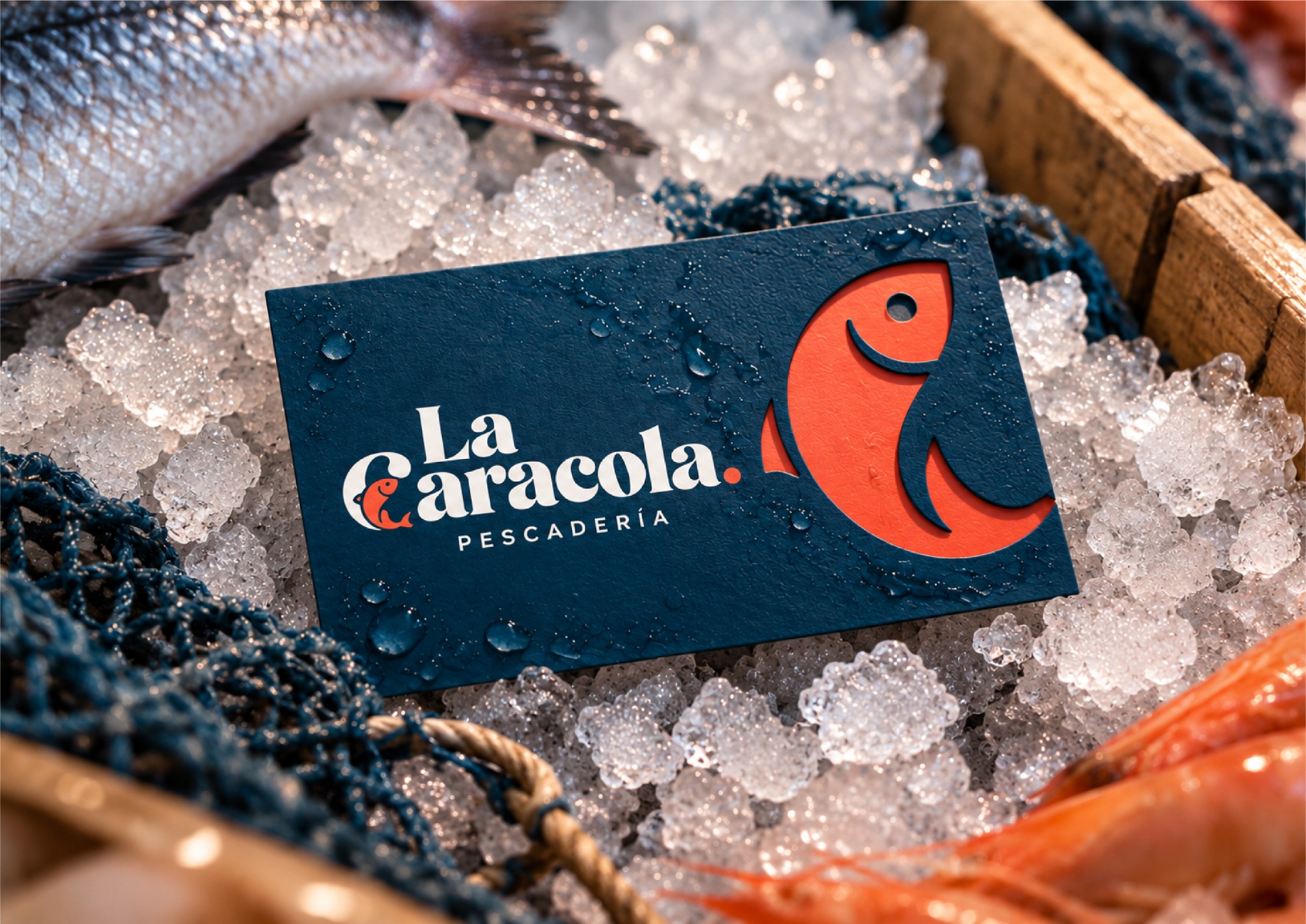 Tarjeta corporativa de La Caracola presentada sobre hielo